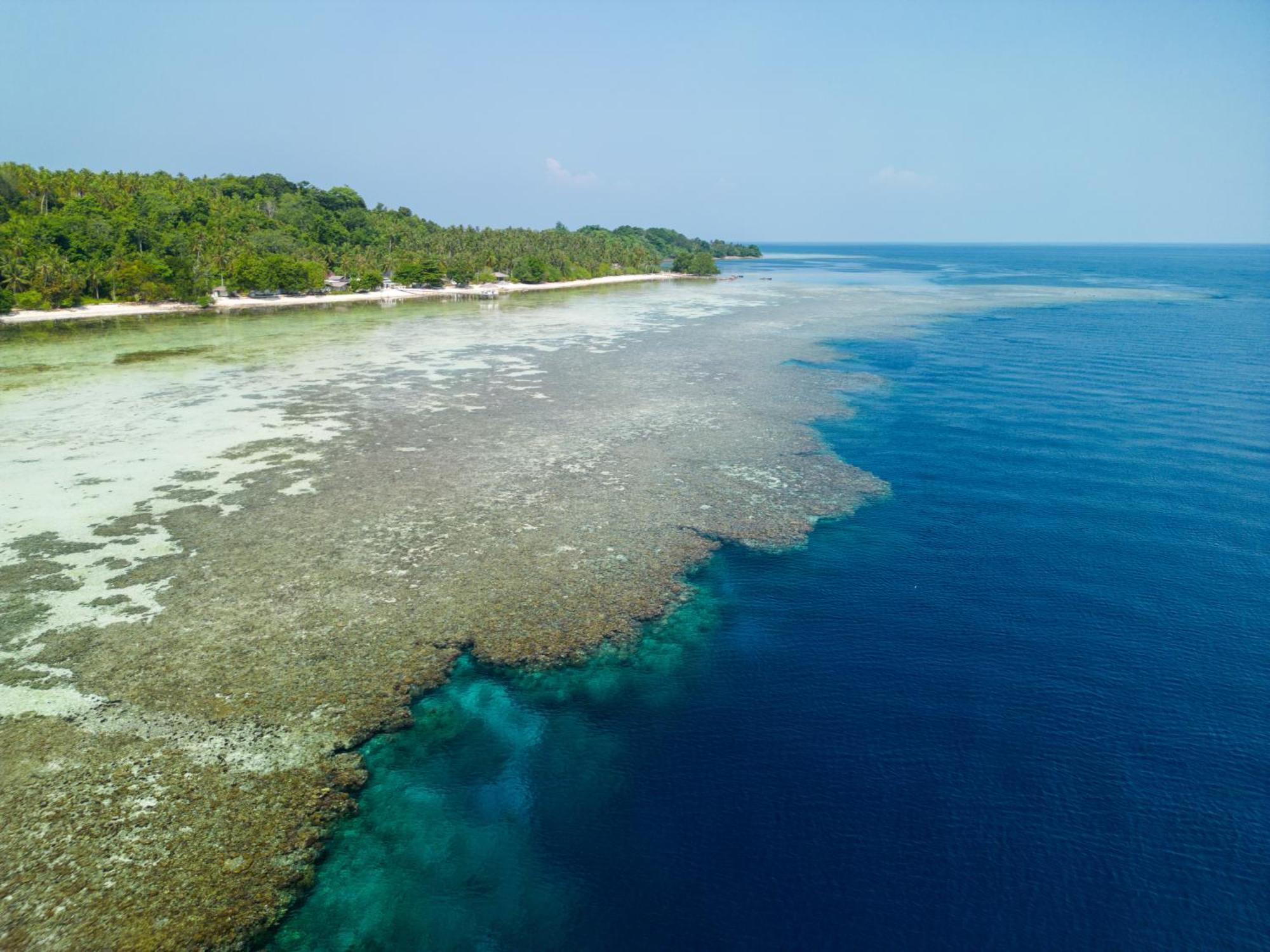 Reconnect - Private Island Resort & Dive Center Togean - Buka Buka Island Ampana Екстер'єр фото